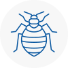 Bed Bug Extermination In Kidsgrove